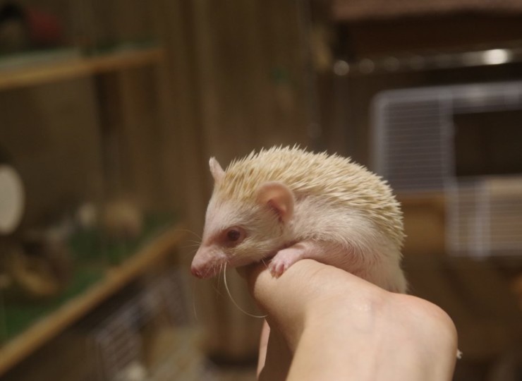 seitai0002