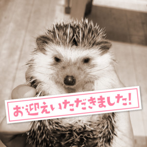 seitai0004