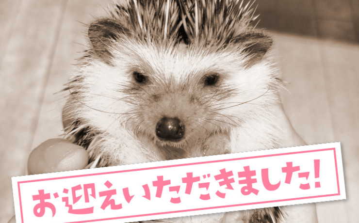 seitai0004