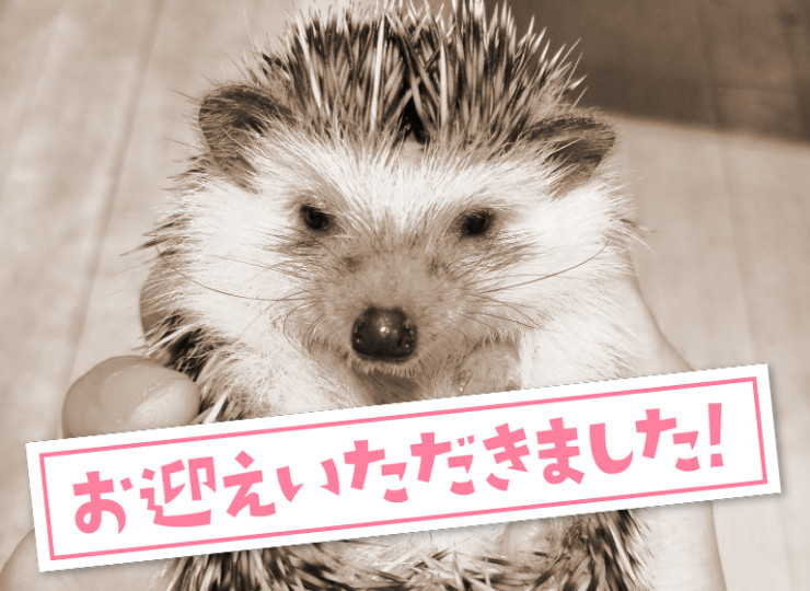 seitai0004